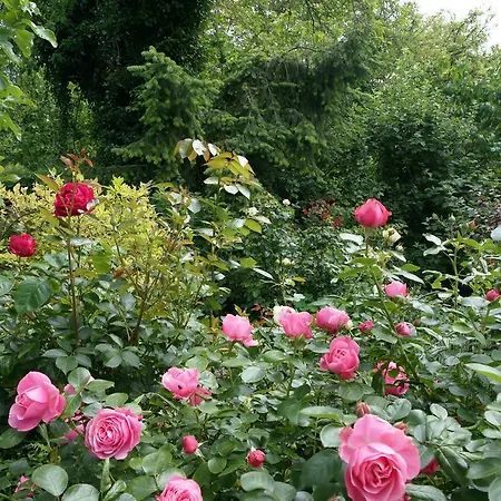 Inselparadies Zingst