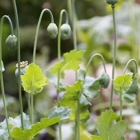 Daire Inselparadies *