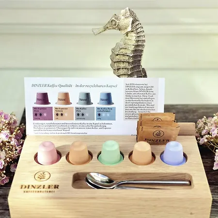 Inselparadies Daire Zingst