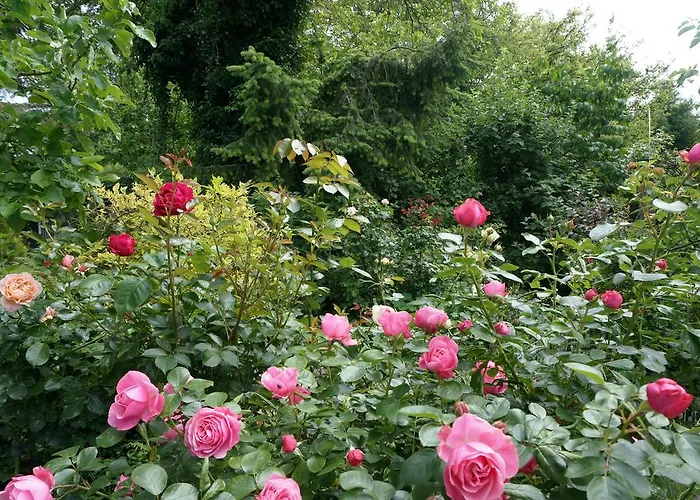 Inselparadies Цингст